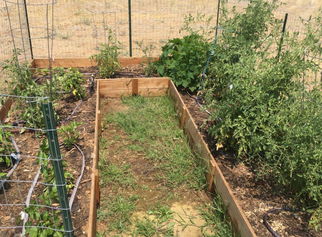 DIY raised bed garden