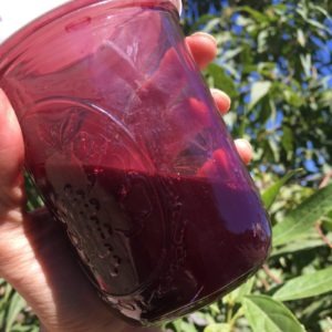 Cooking Wild Elderberries - The Very Easy Veggie Garden