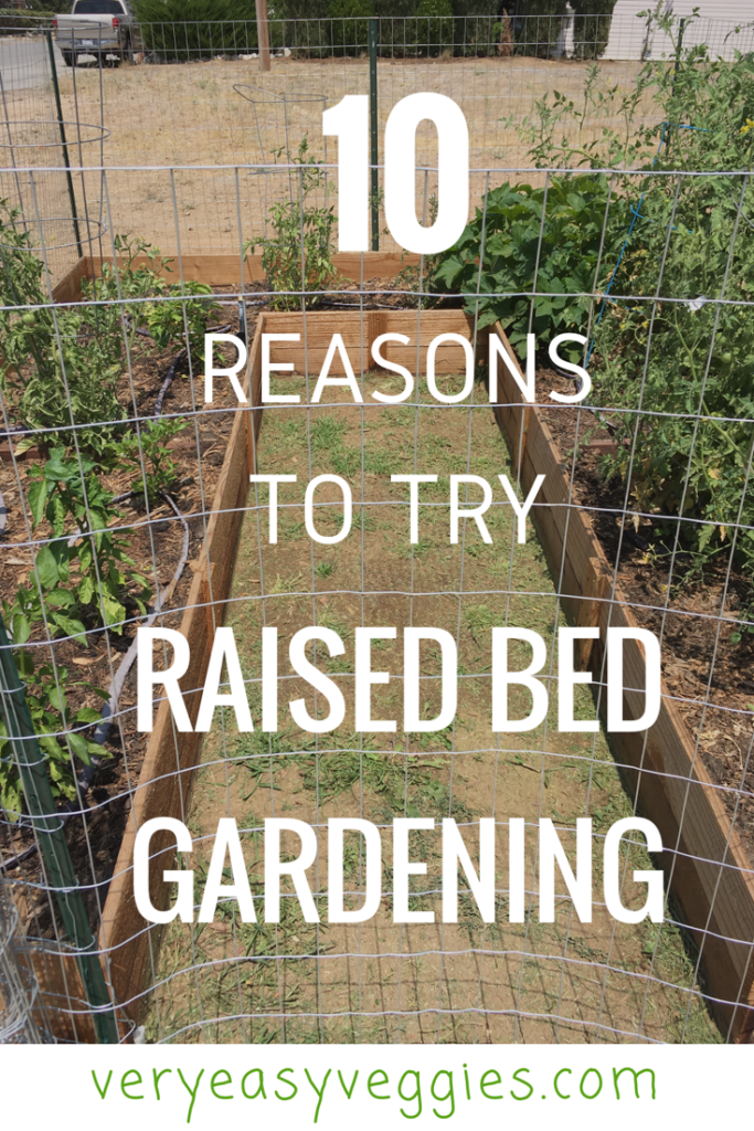 Want to learn how to grow your own vegetables? Or think you have a brown thumb from trying other methods? Find out why raised beds are the perfect method for gardening for beginners!