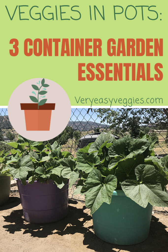 The Basics of Vegetable Gardening in Containers