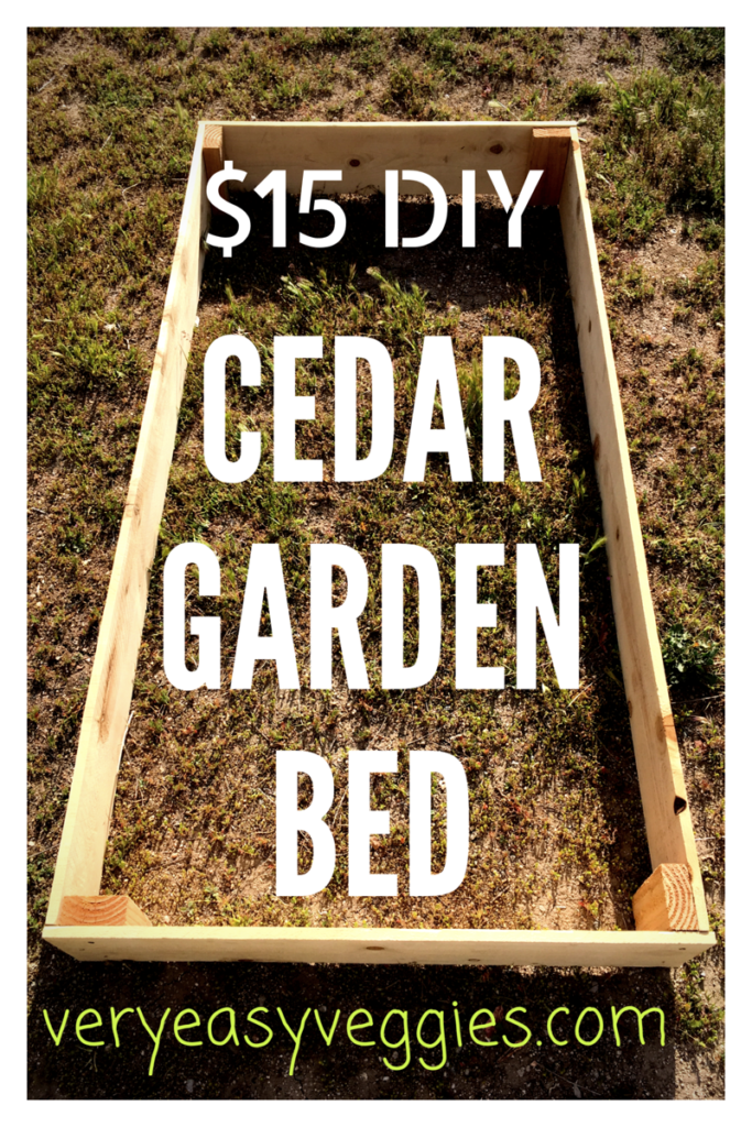 A simple tutorial for DIY cheap raised garden beds made of cedar planks for under $15. You can make these raised garden boxes even cheaper if you have extra cedar fence pickets.