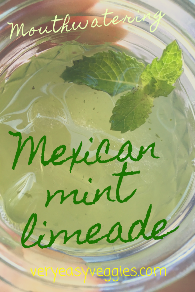 This mouthwatering fresh mint limeade is the perfect summer drink recipe to beat the heat!